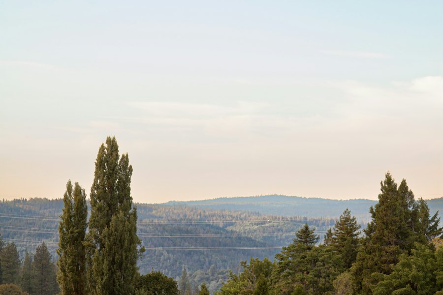 Vineyards in the Sierra foothills
