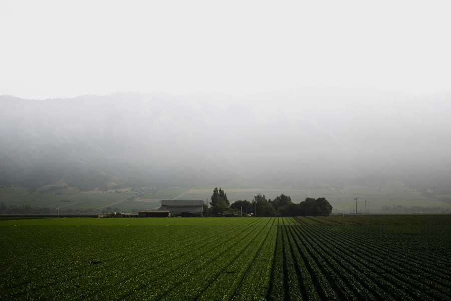 Flat farmland in the San Joaquin Valley